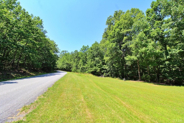3 Smokey Hollow Rd, Lynchburg, VA 24504 - photo 3