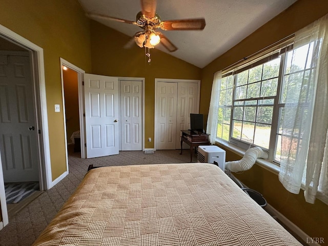 6 Jefferson Village Dr, Forest, VA 24551 - bedroom featuring multiple closets, carpet flooring, lofted ceiling, and ceiling fan