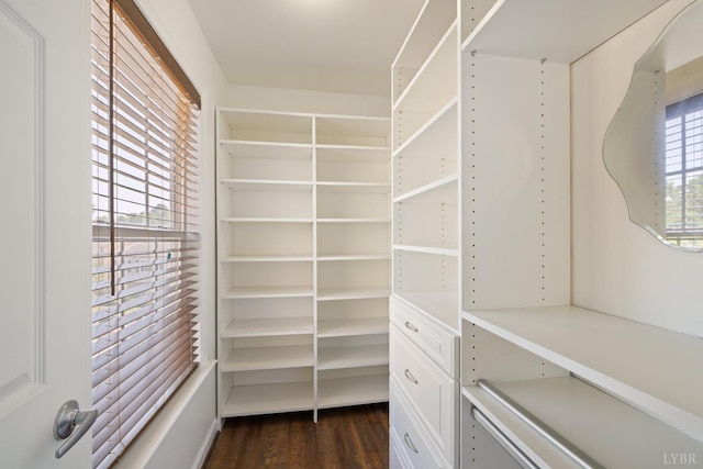 2398 Azalea Garden Rd, Norfolk, VA 23513 - spacious closet featuring dark wood-type flooring