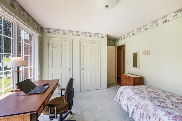 723 Custer Dr, Lynchburg, VA 24502 - bedroom featuring multiple windows, light carpet, a desk, and a textured ceiling