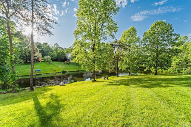1305 Summerpark Dr, Forest, VA 24551 - photo 68