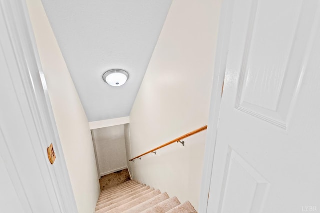 1305 Summerpark Dr, Forest, VA 24551 - photo 57