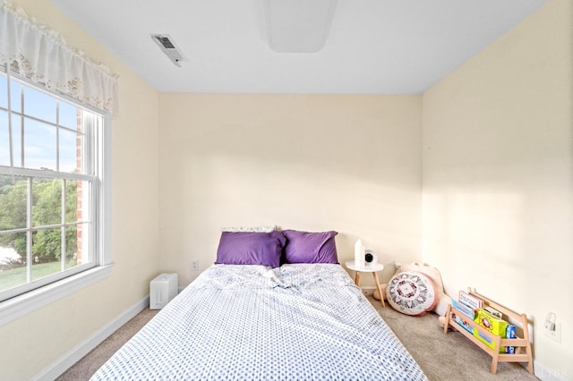 1305 Summerpark Dr, Forest, VA 24551 - photo 53