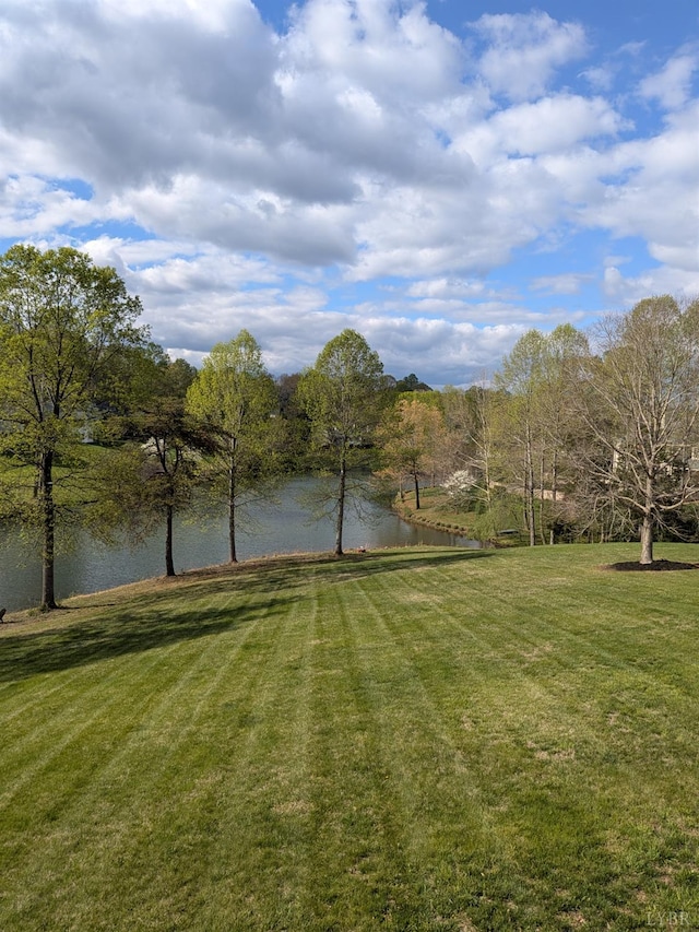 1305 Summerpark Dr, Forest, VA 24551 - photo 77