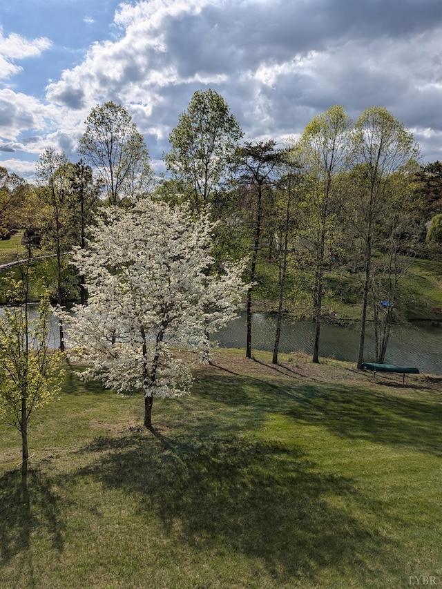 1305 Summerpark Dr, Forest, VA 24551 - photo 78