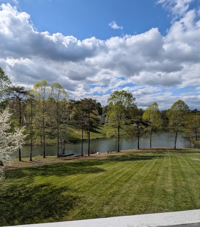1305 Summerpark Dr, Forest, VA 24551 - photo 76
