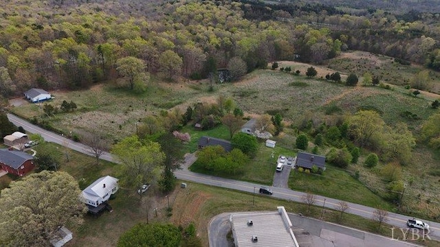 2663 Dearing Ford Rd, Altavista, VA 24517 - photo 2