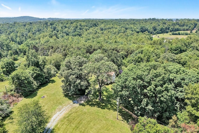 14186 Booker T Washington Hwy, Moneta, VA 24121 - photo 36