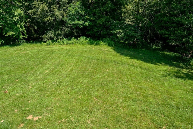 1153 Carlton, Forest, VA 24551 - photo 69