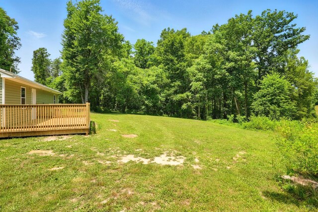 7598 Epsons Rd, Gladys, VA 24554 - photo 35