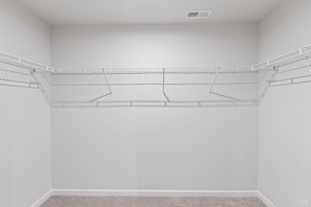 45 Levi Ln, Lynchburg, VA 24502 - walk in closet featuring carpet