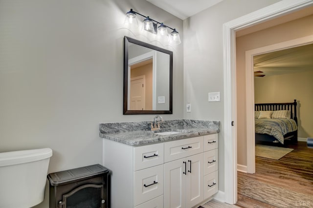 199 Dunivan Dr, Rustburg, VA 24588 - bathroom with vanity, wood finished floors, and ensuite bathroom