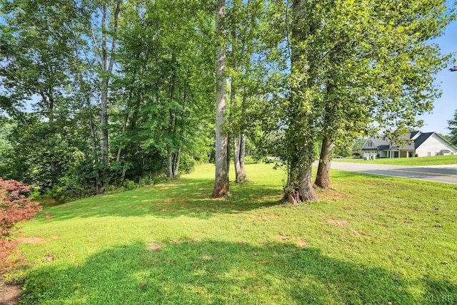 5712 Cottontown, Forest, VA 24551 - photo 45