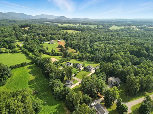 5712 Cottontown, Forest, VA 24551 - photo 59
