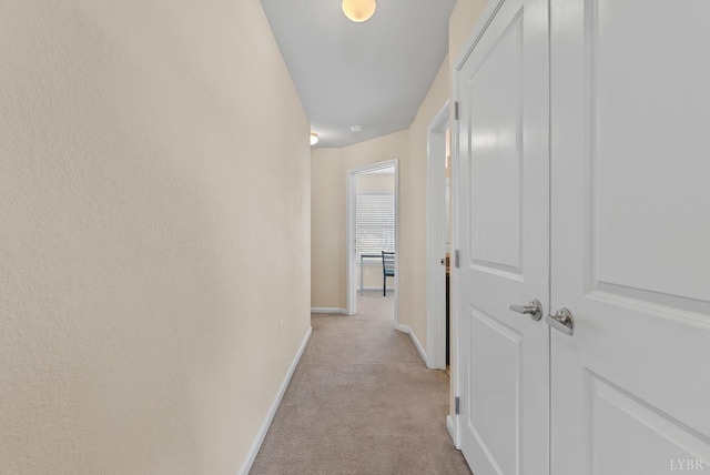 1600 Wards Fry Unit 506, Lynchburg, VA 24502 - hallway with light carpet and baseboards