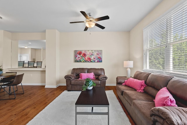 1600 Wards Fry Unit 506, Lynchburg, VA 24502 - living room featuring ceiling fan and wood finished floors