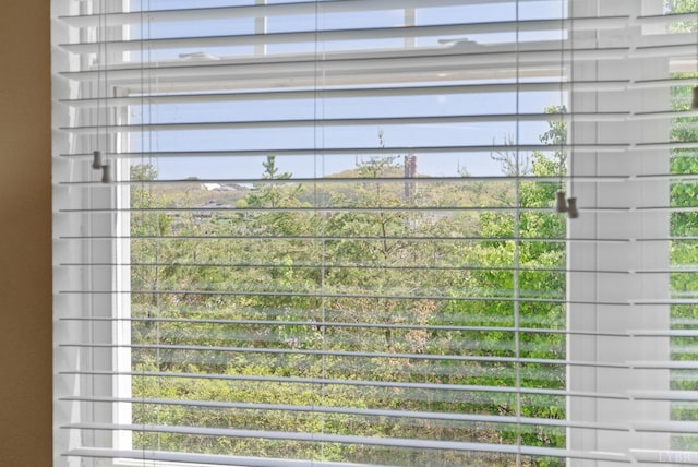 1600 Wards Fry Unit 506, Lynchburg, VA 24502 - detailed view