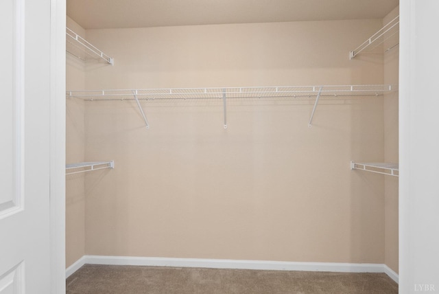 1600 Wards Fry Unit 506, Lynchburg, VA 24502 - walk in closet featuring carpet flooring