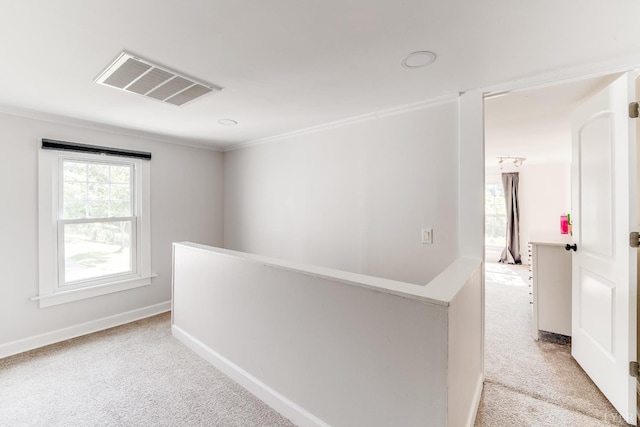 1038 Valencia, Huddleston, VA 24101 - photo 39