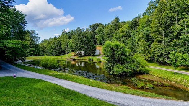 1582 Venturous Trl, Goode, VA 24556 - photo 12