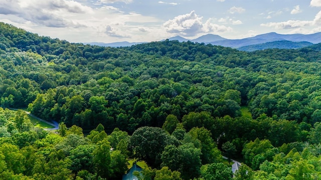 1582 Venturous Trl, Goode, VA 24556 - photo 8
