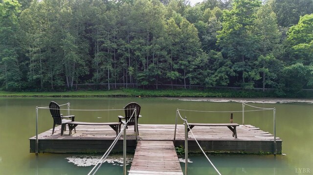 1582 Venturous Trl, Goode, VA 24556 - photo 6