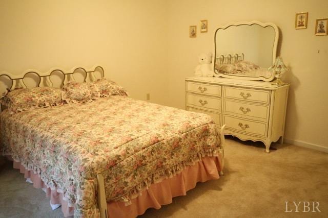 218 N Branch Rd, Bedford, VA 24523 - photo 21
