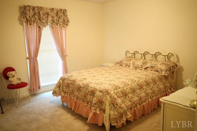 218 N Branch Rd, Bedford, VA 24523 - photo 20