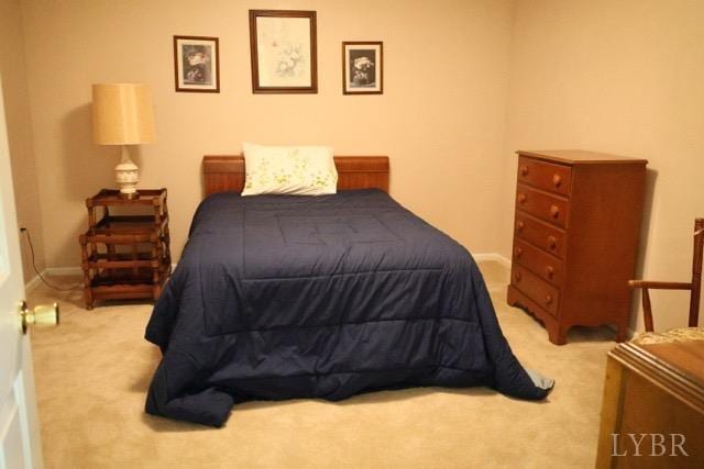 218 N Branch Rd, Bedford, VA 24523 - photo 24
