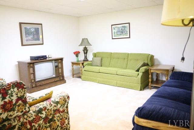 218 N Branch Rd, Bedford, VA 24523 - photo 37
