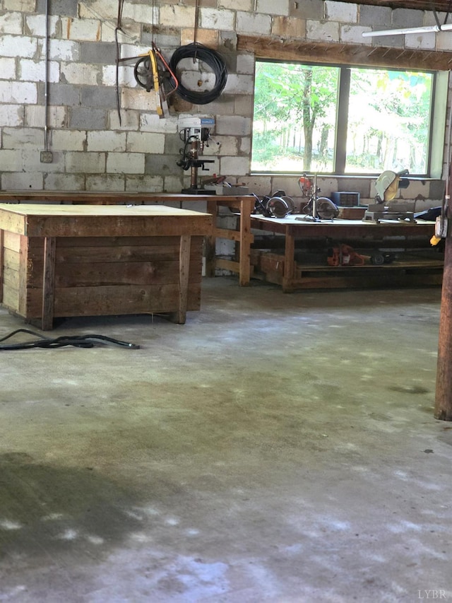 271 Candlemakers Ln, Rustburg, VA 24588 - below grade area with a workshop area