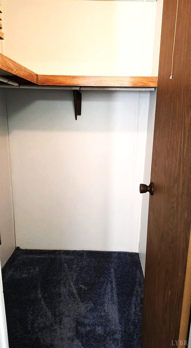 271 Candlemakers Ln, Rustburg, VA 24588 - spacious closet with carpet floors