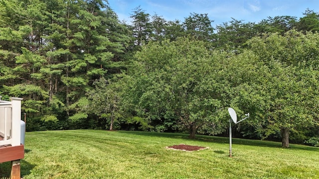 630 Rangewood Dr, Evington, VA 24550 - photo 44