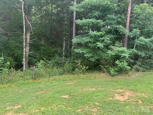2022 New Chapel Rd, Rustburg, VA 24588 - view of tree filled area