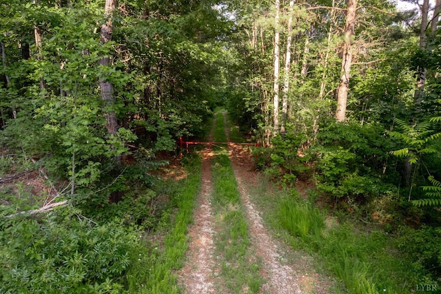 1100 Grandmas Hill Rd, Amherst, VA 24521 - photo 16