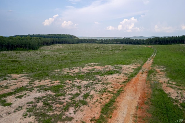 1100 Grandmas Hill Rd, Amherst, VA 24521 - photo 18