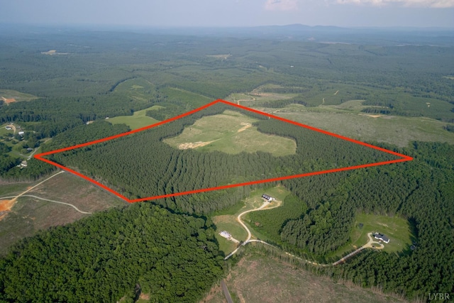 1100 Grandmas Hill Rd, Amherst, VA 24521 - photo 1