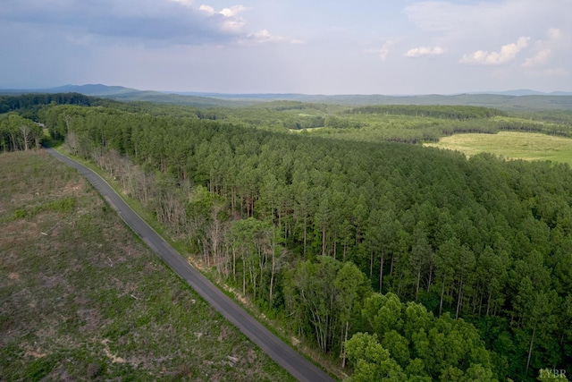 1100 Grandmas Hill Rd, Amherst, VA 24521 - photo 14