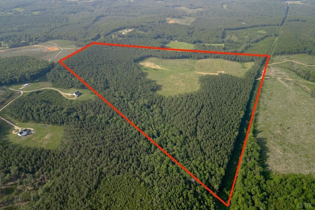 1100 Grandmas Hill Rd, Amherst, VA 24521 - photo 5