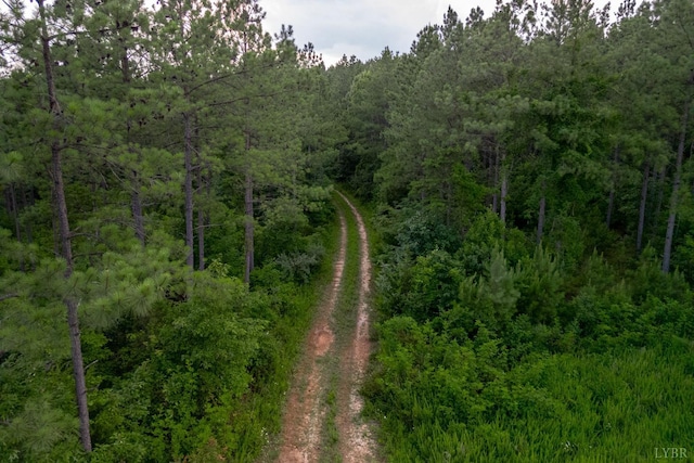 1100 Grandmas Hill Rd, Amherst, VA 24521 - photo 17