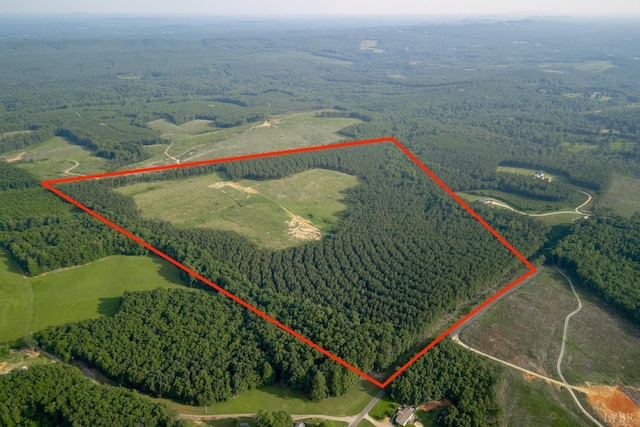 1100 Grandmas Hill Rd, Amherst, VA 24521 - photo 3