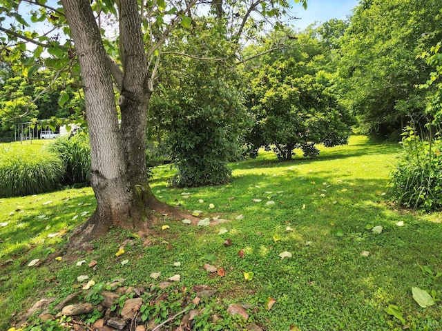 11666 Lee Jackson, Big Island, VA 24526 - photo 39