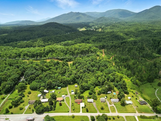 11666 Lee Jackson, Big Island, VA 24526 - photo 44