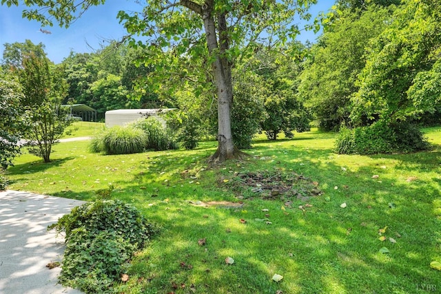 11666 Lee Jackson, Big Island, VA 24526 - photo 26