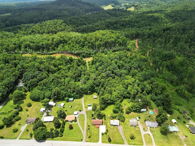 11666 Lee Jackson, Big Island, VA 24526 - photo 43