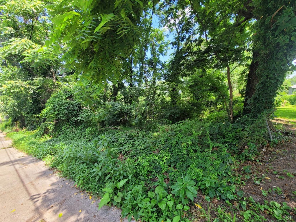 1308 16th St, Lynchburg, VA 24504