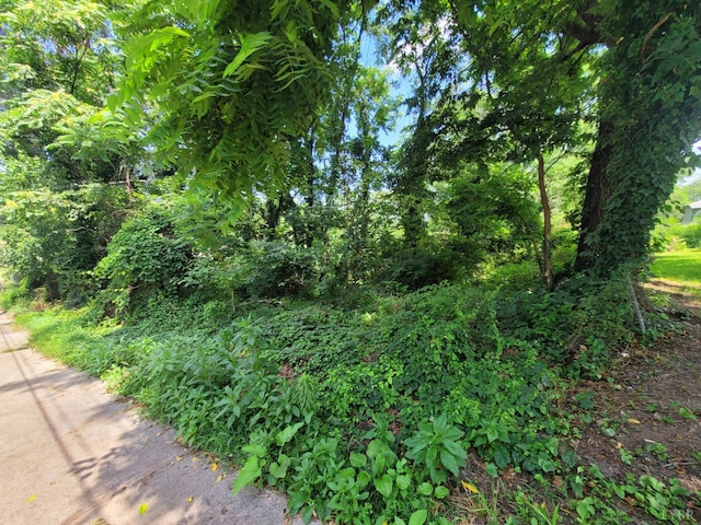 1308 16th St, Lynchburg, VA 24504