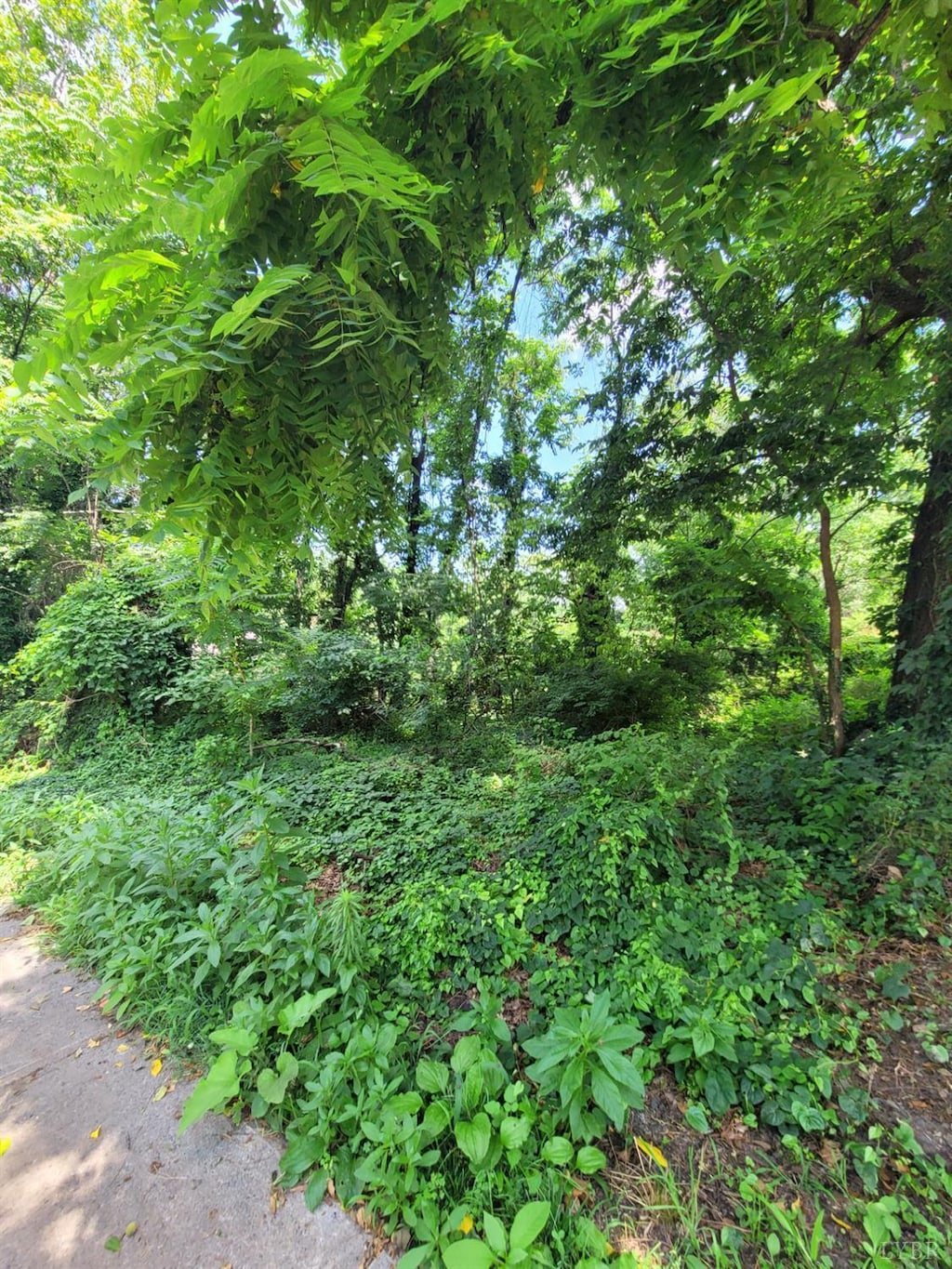 1308 16th St, Lynchburg, VA 24504