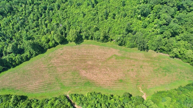 1967 Cub Creek Rd, Appomattox, VA 24522 - photo 11