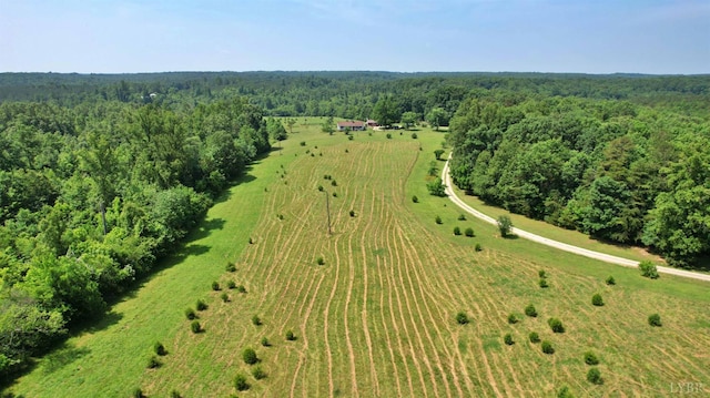 1967 Cub Creek Rd, Appomattox, VA 24522 - photo 9